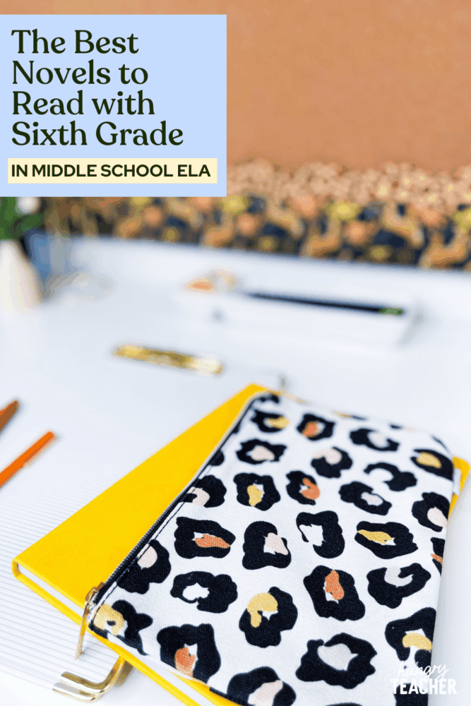 The Best Novels to Read with Sixth Grade