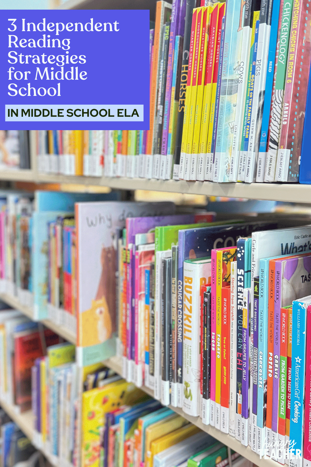 3 Independent Reading Strategies for Middle School