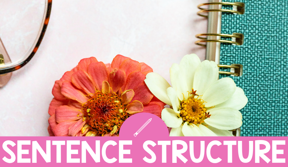 5 Sentence Structure & Sentence Types Activities