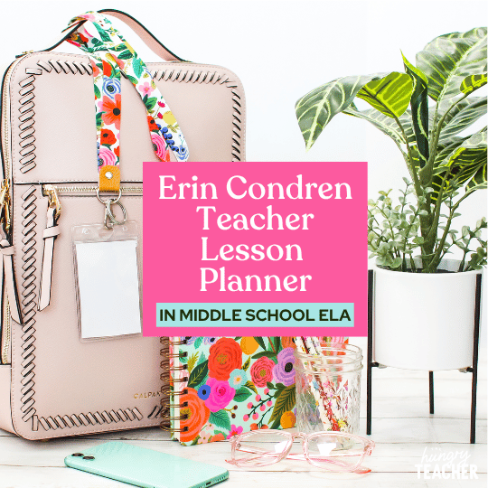 Erin Condren Teacher Lesson Planner