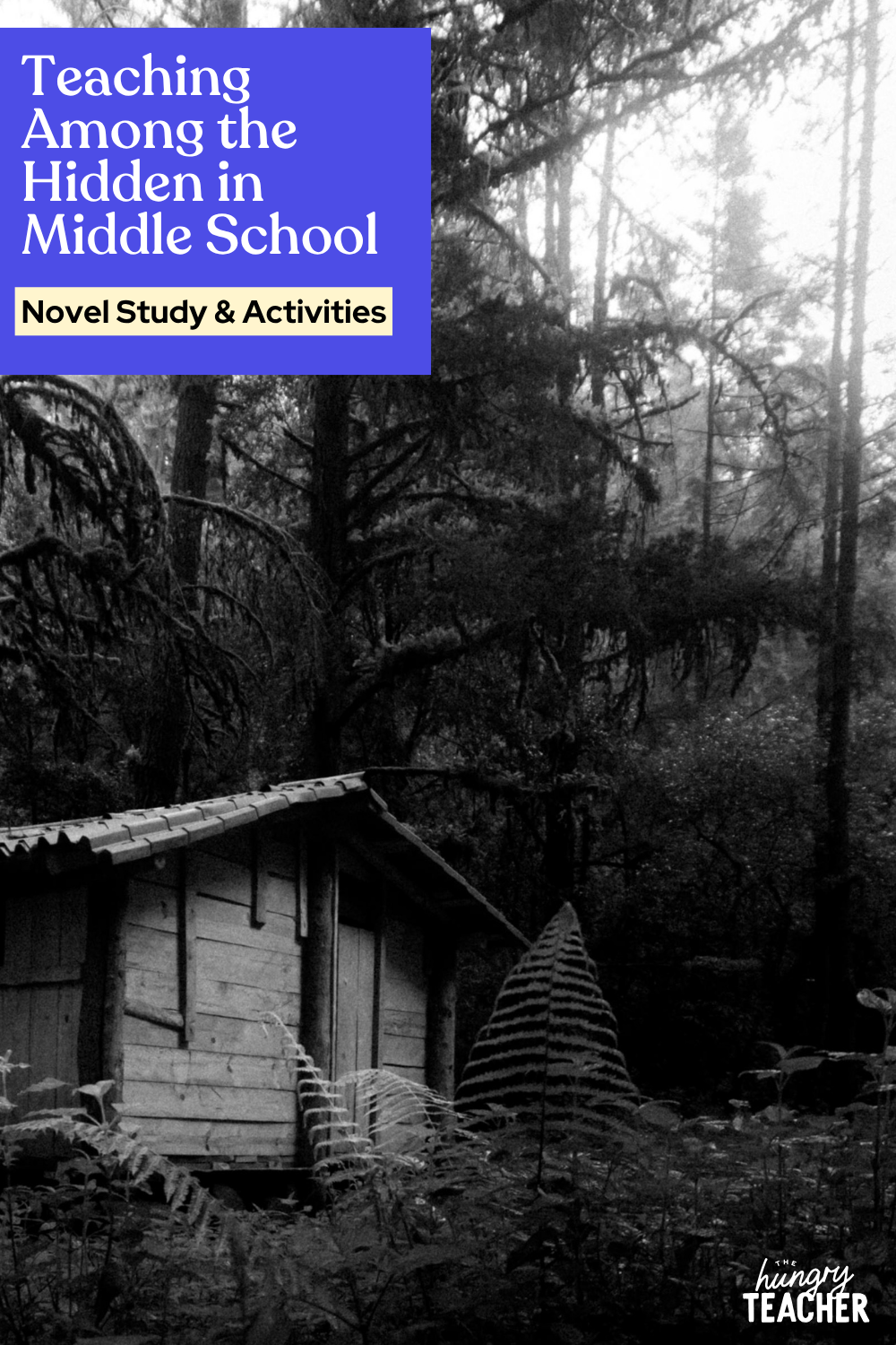 Teaching Among the Hidden in Middle School