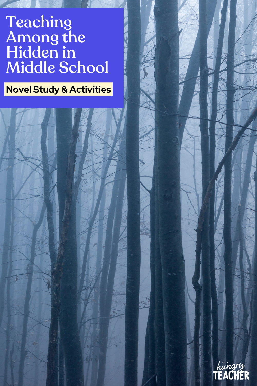 Teaching Among the Hidden in Middle School