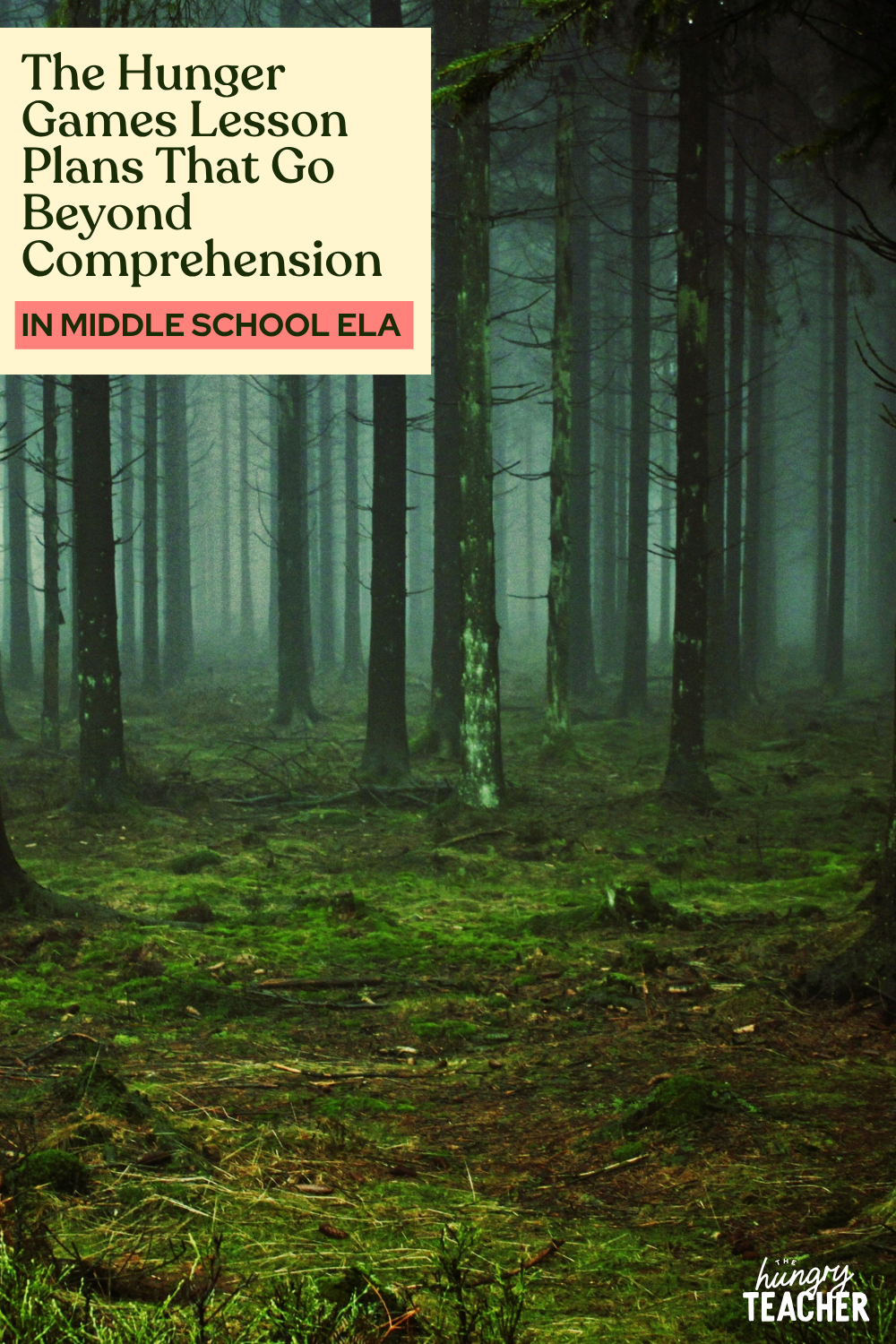 The Hunger Games Lesson Plans That Go Beyond Comprehension