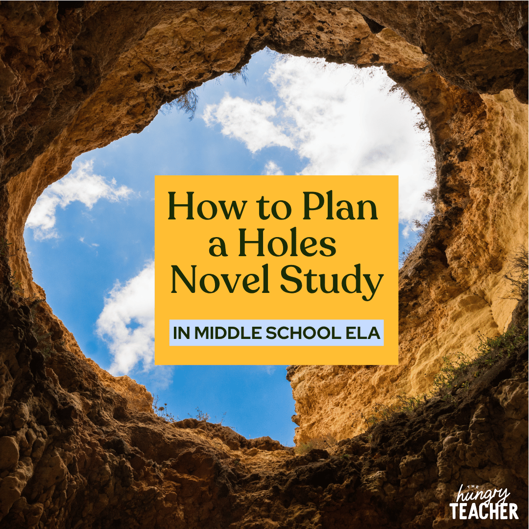 How to Plan a Holes Novel Study
