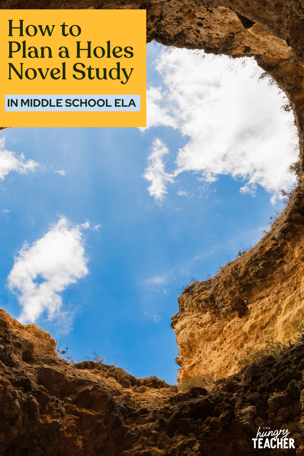 How to Plan a Holes Novel Study