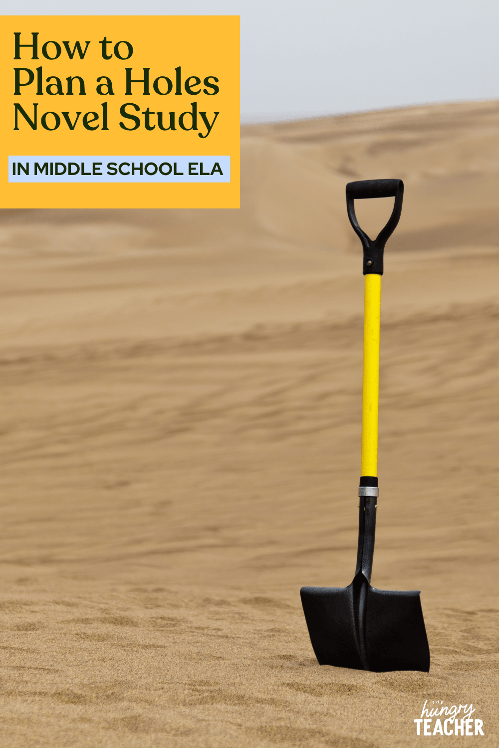 How to Plan a Holes Novel Study