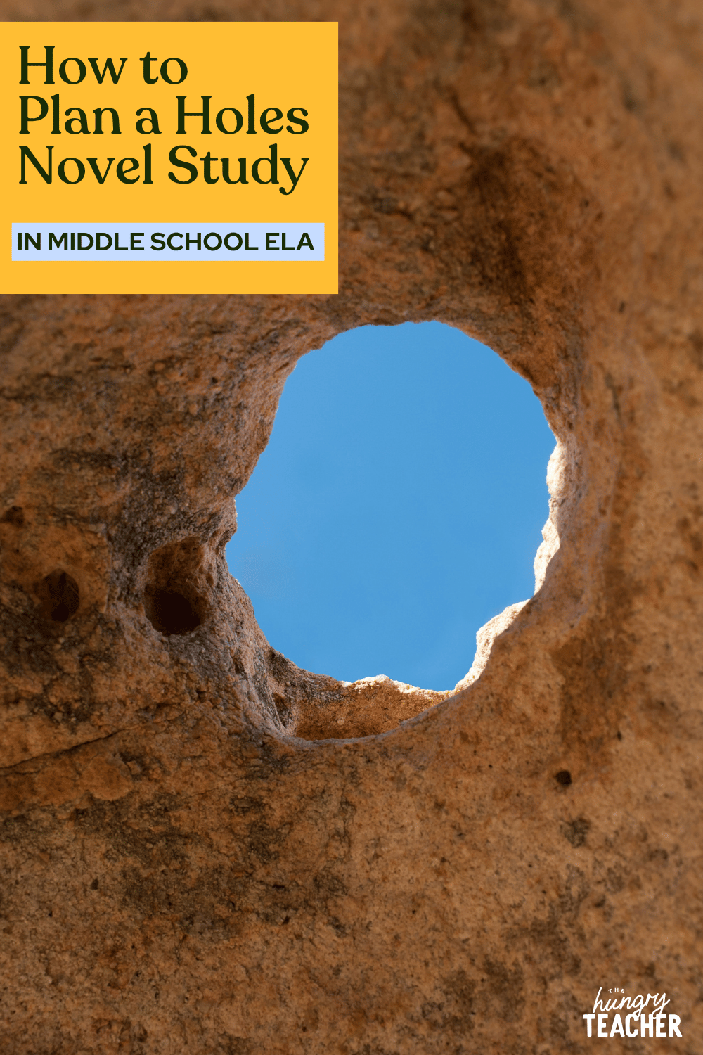 How to Plan a Holes Novel Study